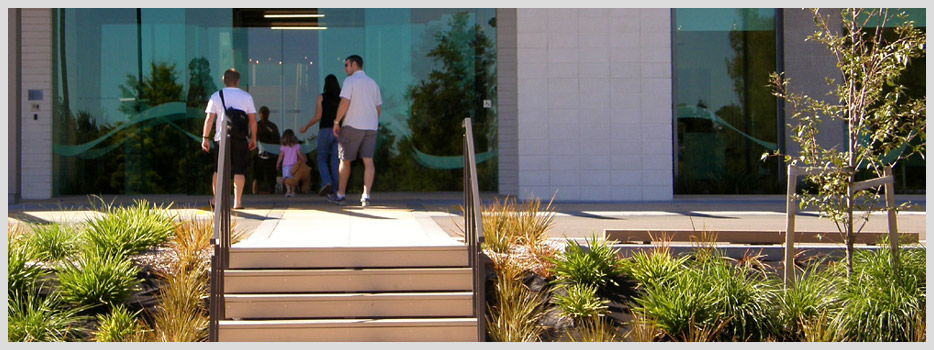 Braemar Hospital, Hamilton - Higher Ground Landscapes