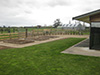 Vegetable Garden, Tauwhare Road, Matangi