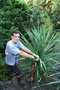Mark Sherson, working on Gully Restoration